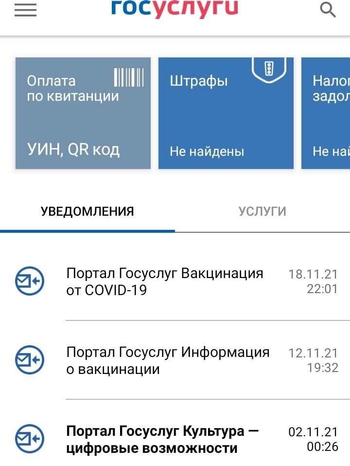 Рис. 1.  Интерфейс приложения «Госуслуги»