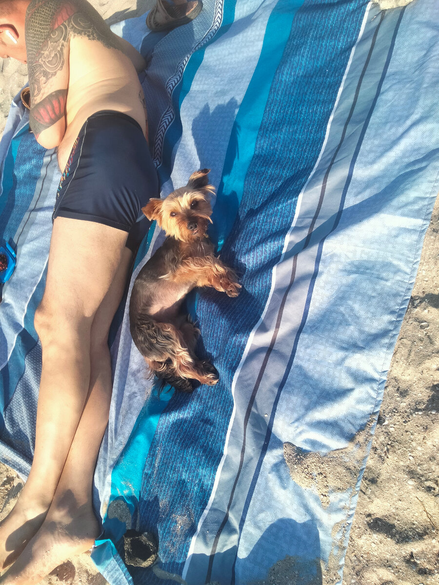 Что надо? Загораю вместе с хозяином)))