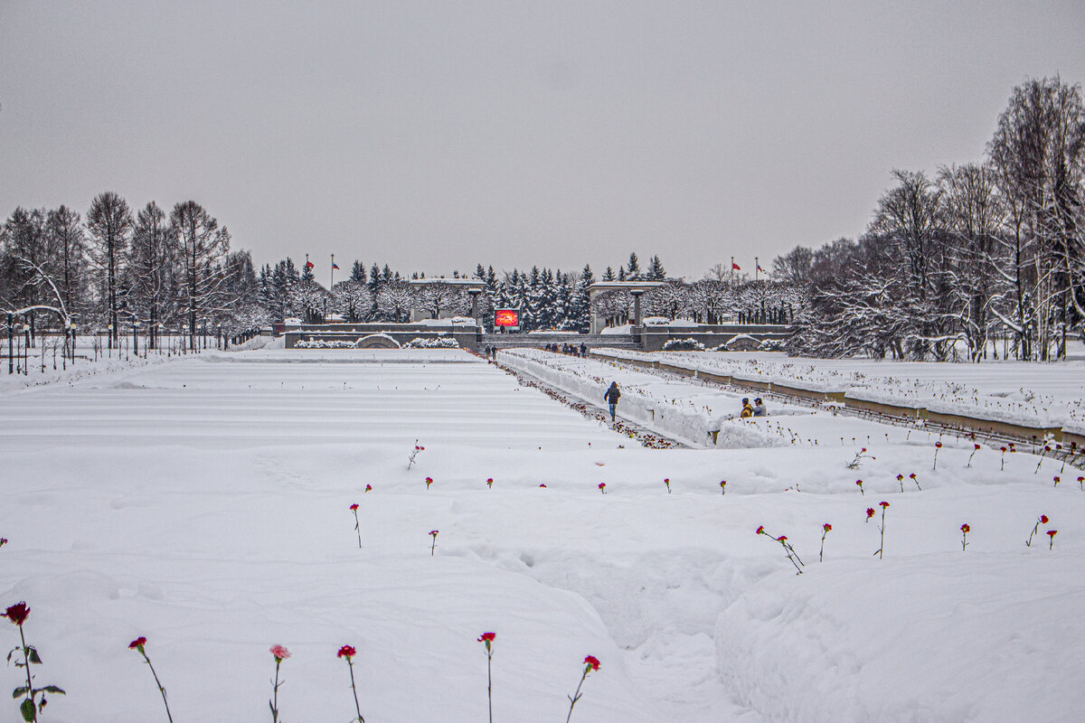 Пискаревское кладбище. Фотография автора.