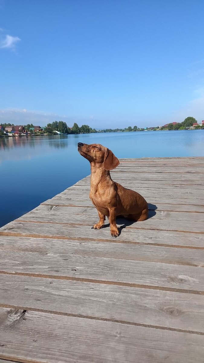 Накупалась, блаженствую. 