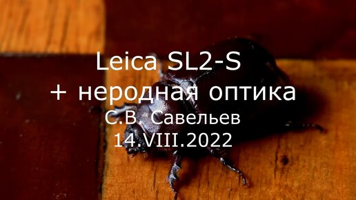 С.В. Савельев. Leica SL2-S + неродная оптика - [20220814]