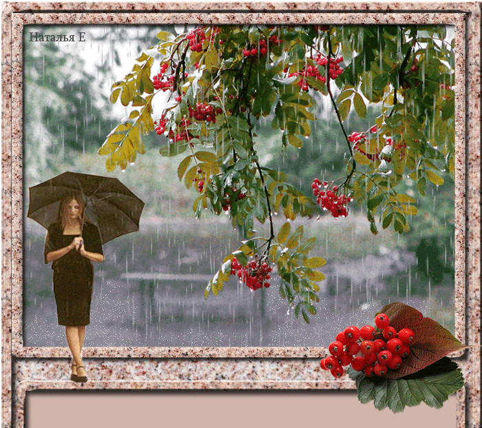 Скоро осень за окнами август. Осеннее дождливое утро в саду. Рябина под дождем. Дождливый день сентября. Пусть осень и гром стучатся в наш