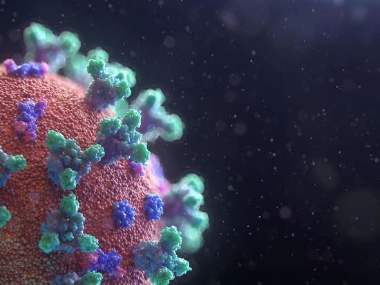     Фото: unsplash.com