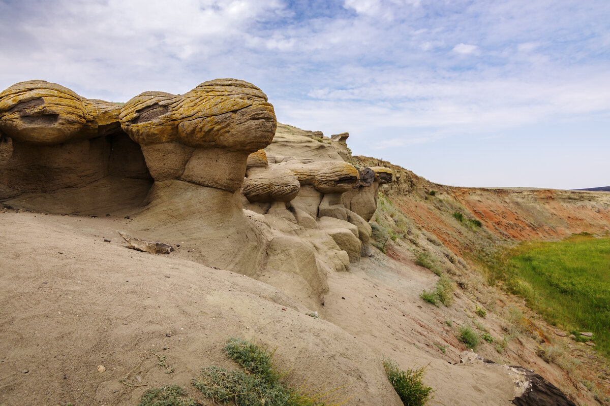 Фото: Vadim Orlov / Shutterstock 