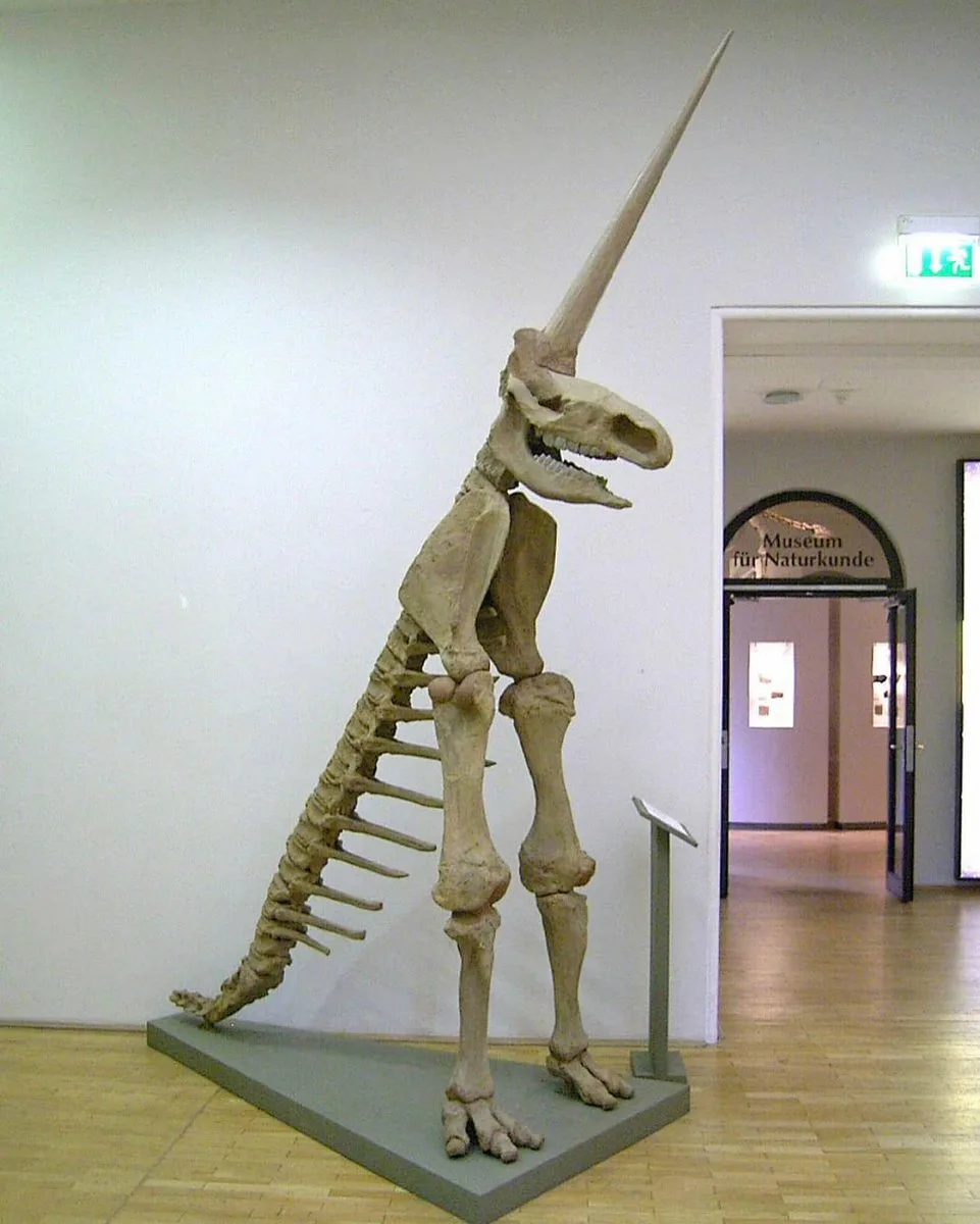 Материалы свободных источников