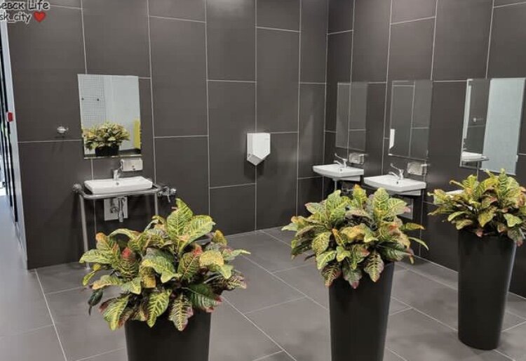 Около столовой