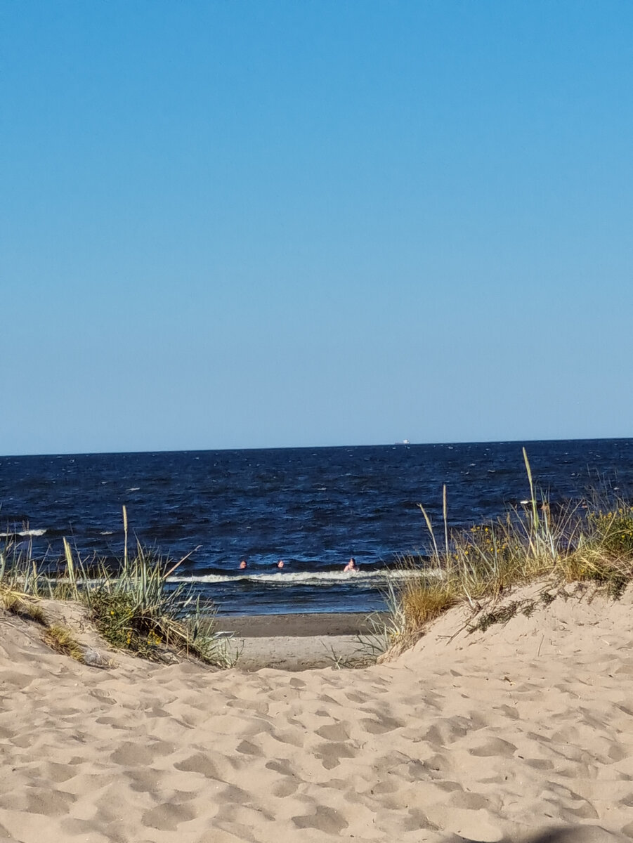 Лето на Балтике , окно в море из песчаных дюн (фото из личного архива)