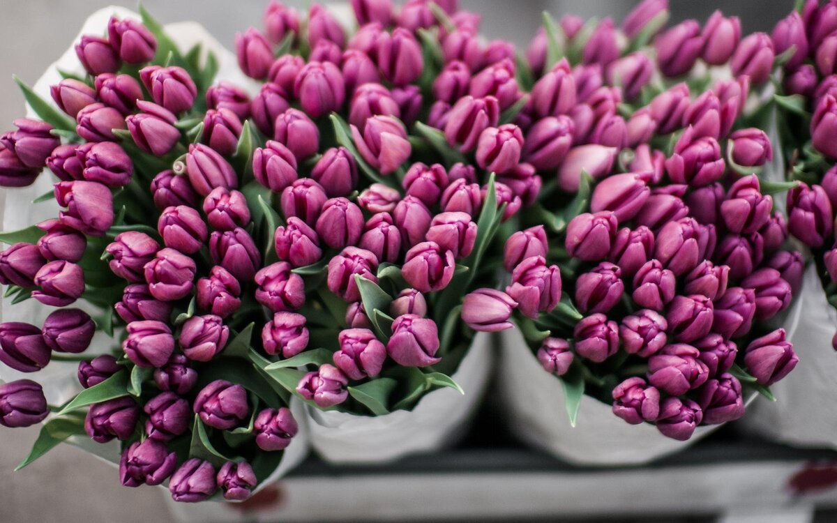 Источник: Я.Картинки.