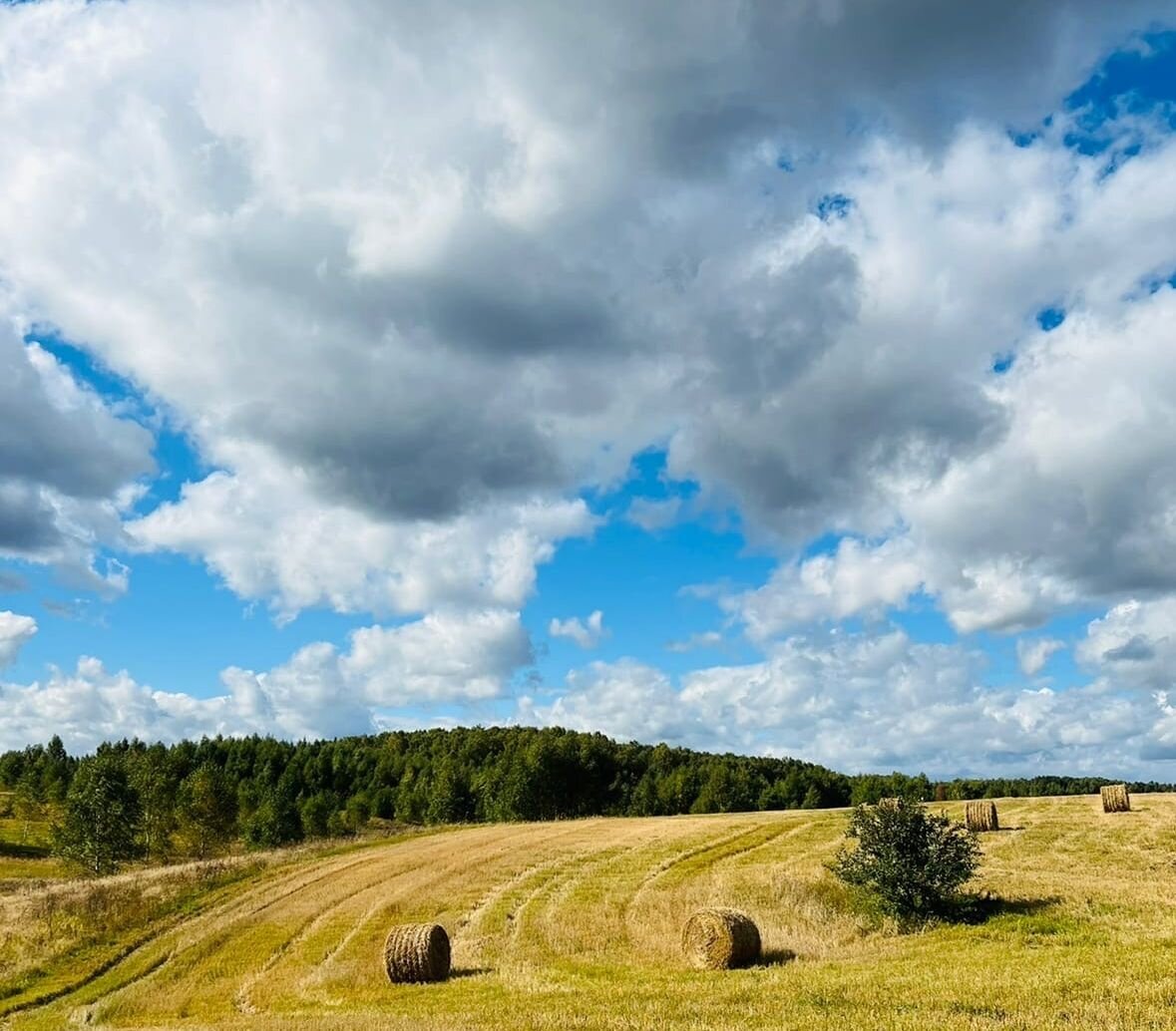 Россия. Сентябрь 2022