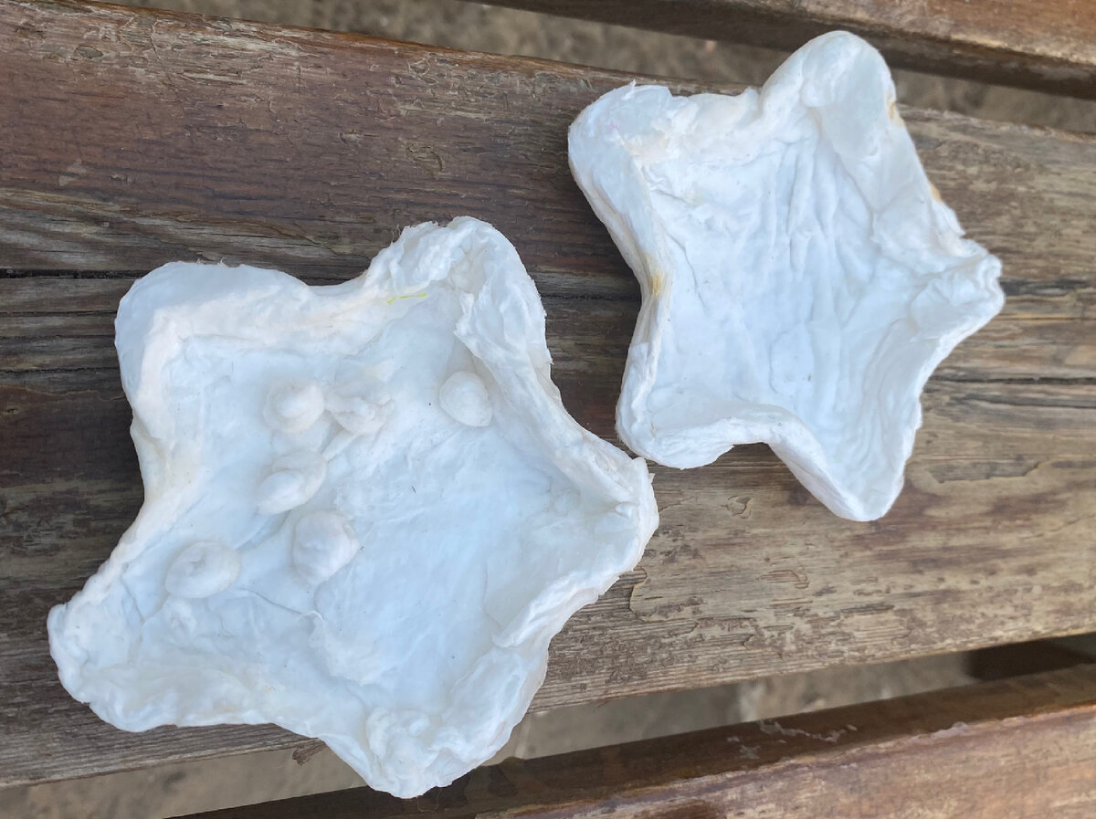 Две половинки звёзды (вид изнутри) 