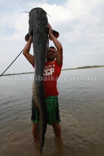 Горелки, светильники, грелки, обогреватели