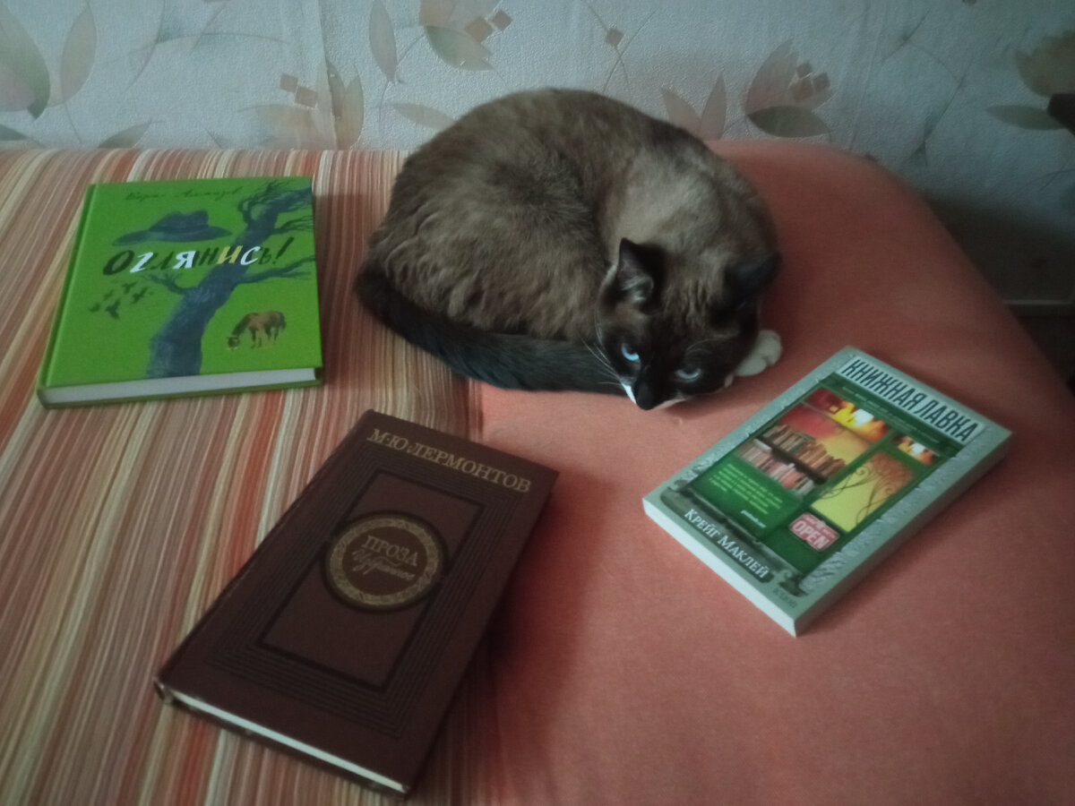 Контроль качества в лице(вернее, в мордашке) Симоны. 