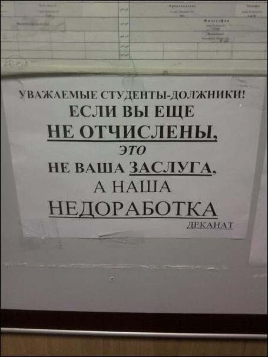 Очень СМЕШНЫЕ объявления СТУДЕНЧЕСКИХ времен. Вспомнила юмор из универа и  общежития | Призма жизни | Дзен