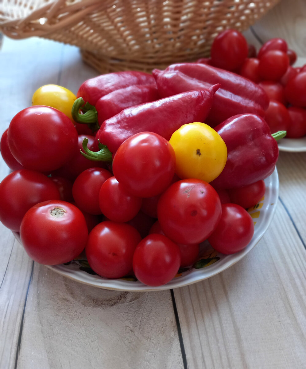 Авторское фото