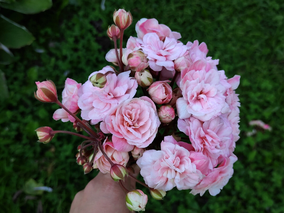 За такую красоту мы ещё поборемся, правда? 