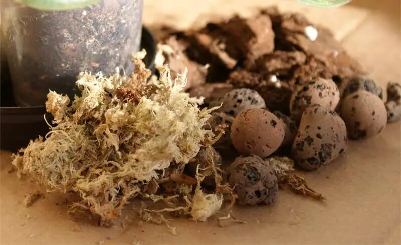 Различные виды грунтовой смеси (Фото используется по стандартной лицензии ©lifecvetov.ru/)