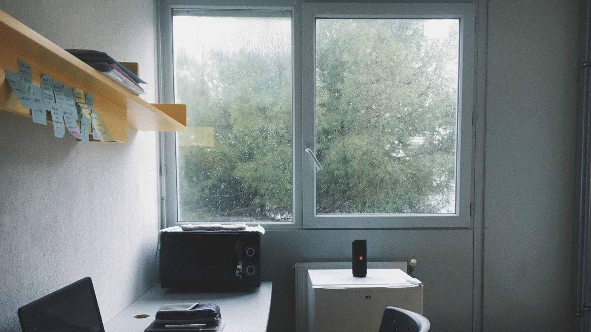    Фото: Unsplash Рашид Ахмежанов