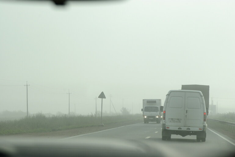    Фото: Baltphoto /Елена Яковлева