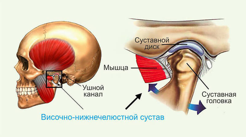 Почему щелкает челюсть