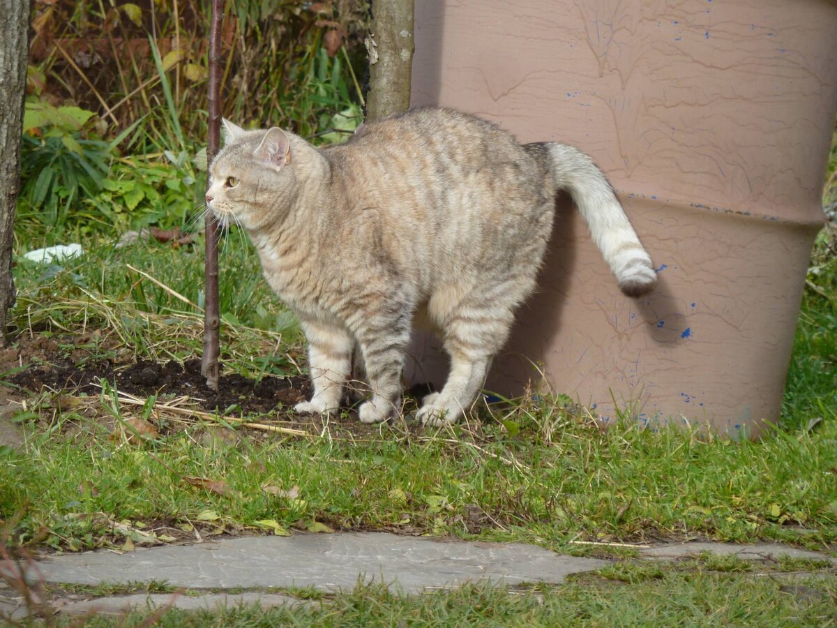 Никто не заметит диверсию.