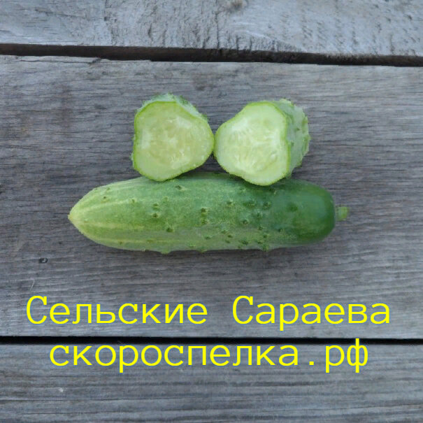 Как собрать семена огурца - Fazenda