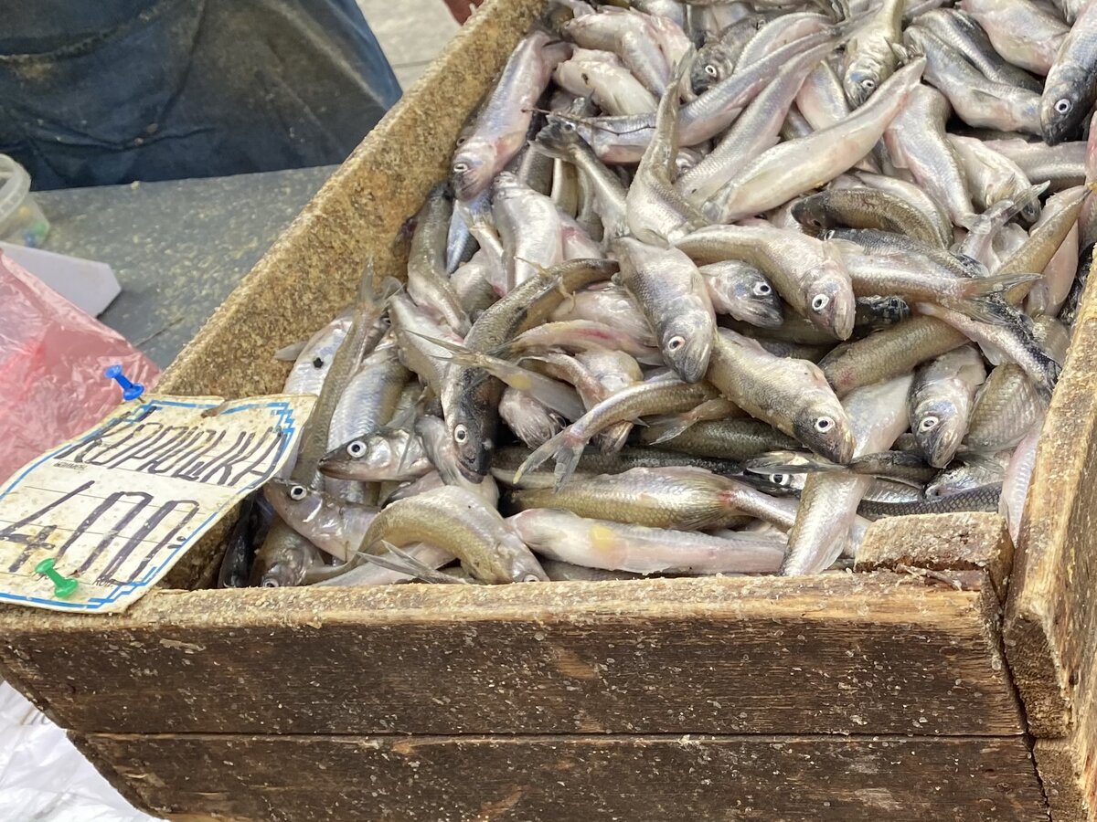 Прилавки с корюшкой