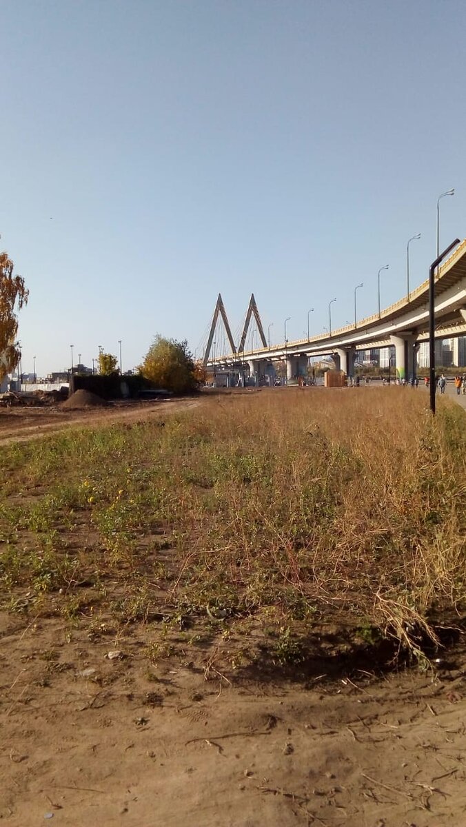 Прогулки... 