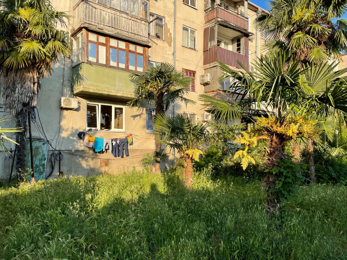 Впервые побывал в Абхазии: первые впечатления, плюсы и минусы отдыха ...