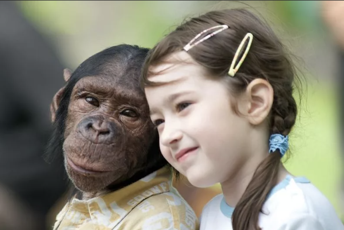Шимпанзе девушку. Обезьяна для детей. Обезьянка девочка. Девушка и обезьяна. Обезьянка с детьми.