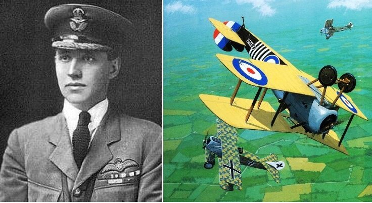 Все иллюстрации взяты из открытых источников