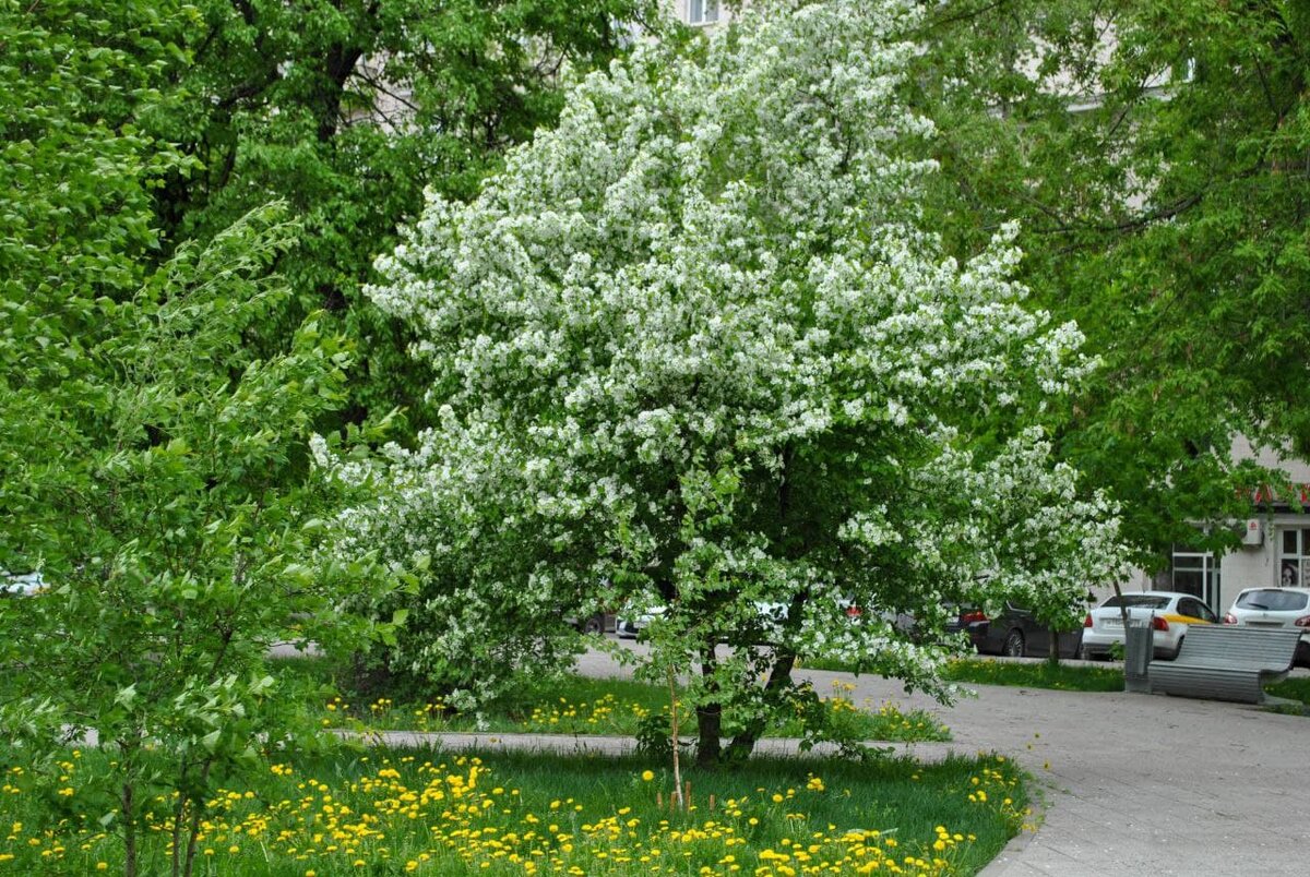 Москва