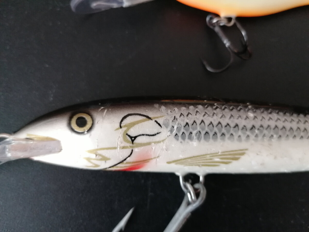 следы от щучьих зубов по всему корпусу