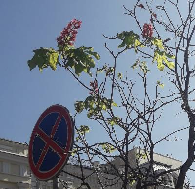 Конфликт: наблюдение или участие