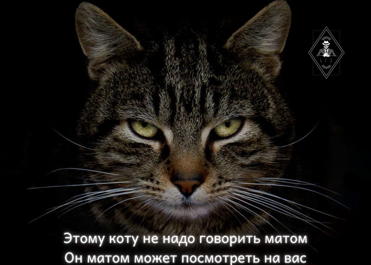 Изображение из открытых источников