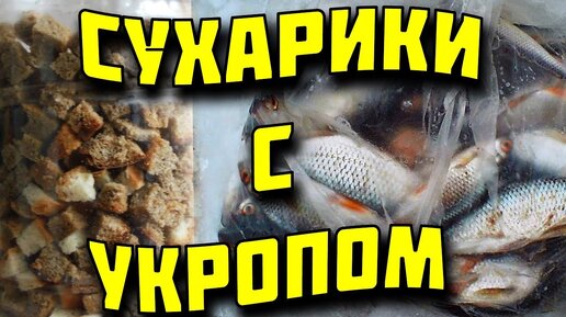 Прикормка для плотвы зимой 🌟 покупаем или делаем своими руками