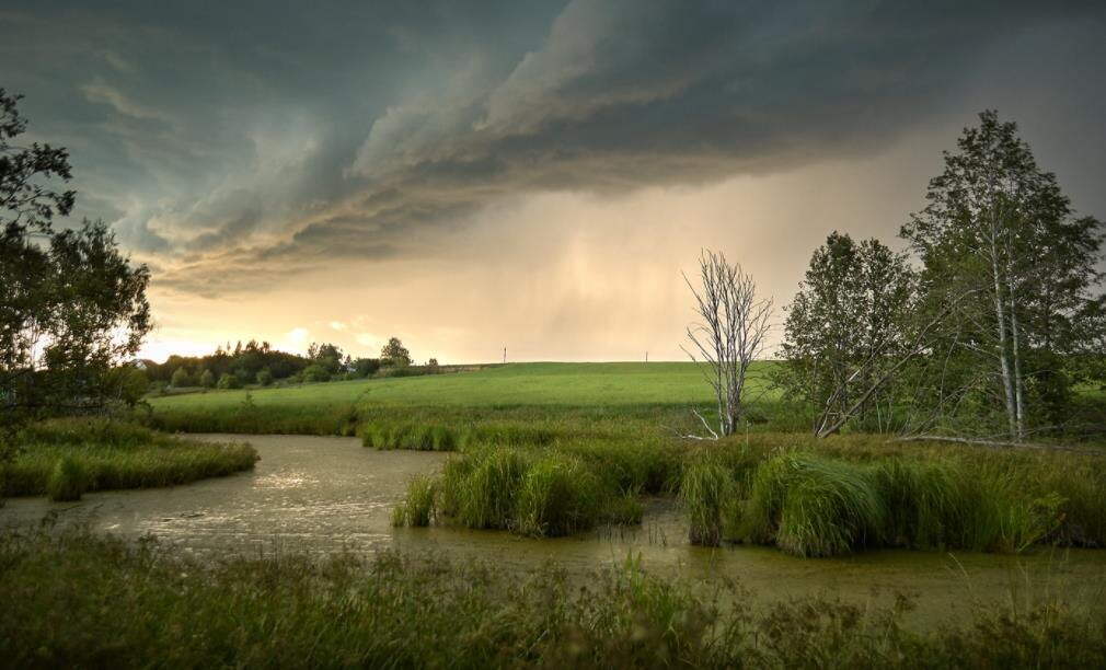 Фото — photocentra.ru