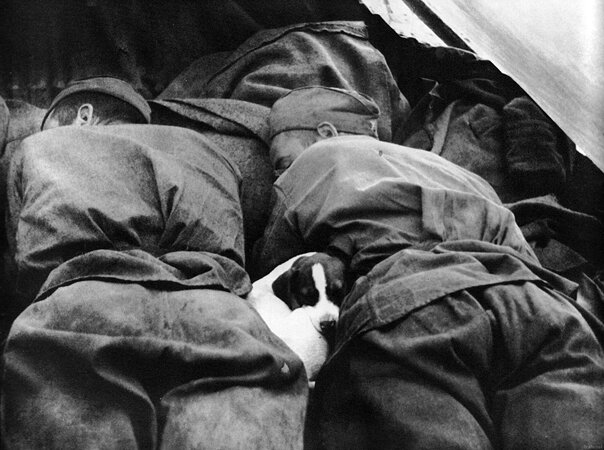 Пусть солдаты немного поспят. Г. Липскеров.  Прага, май, 1945