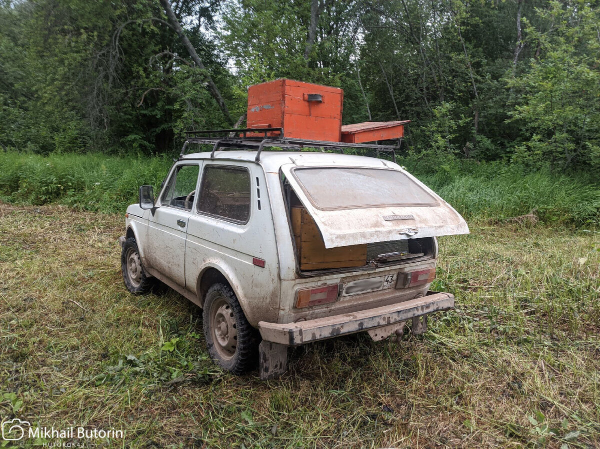 Загрузил целые ульи.