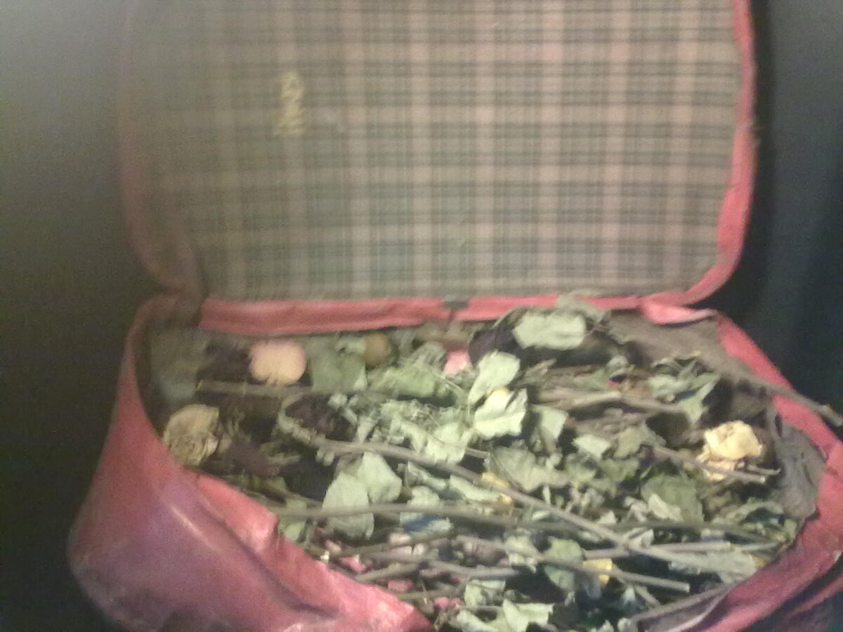 Фото автора. Чемодан с сухими розами.