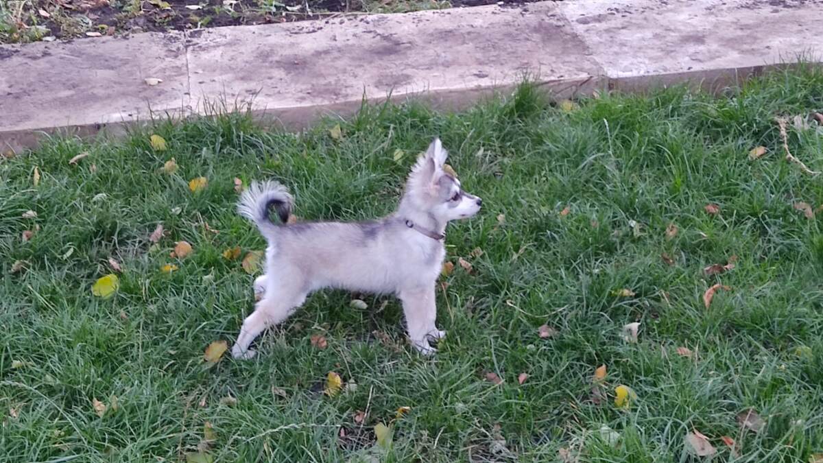 Фото из личного архива