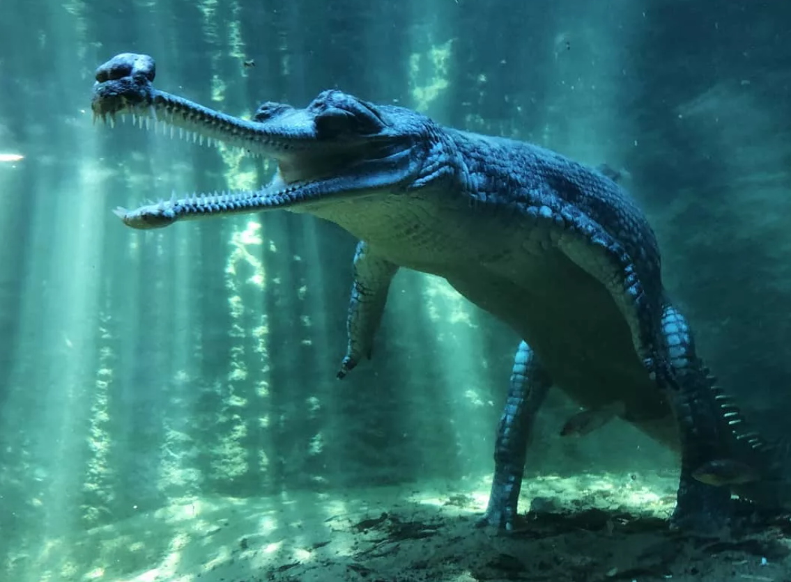 С такого ракурса выглядит не очень безопасно...