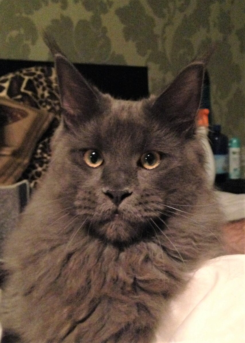 Фото из личного архива.