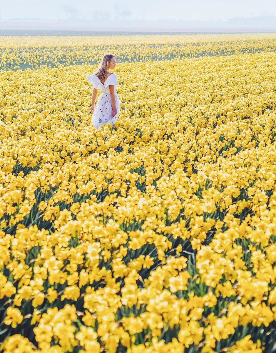 Фото из интернета.