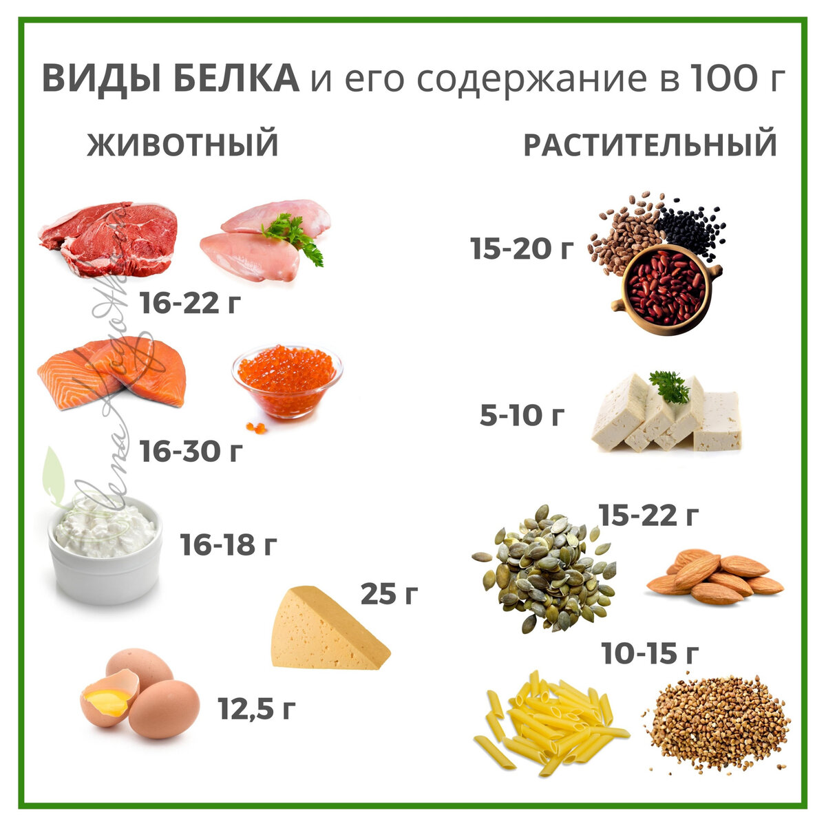 Белки в продуктах