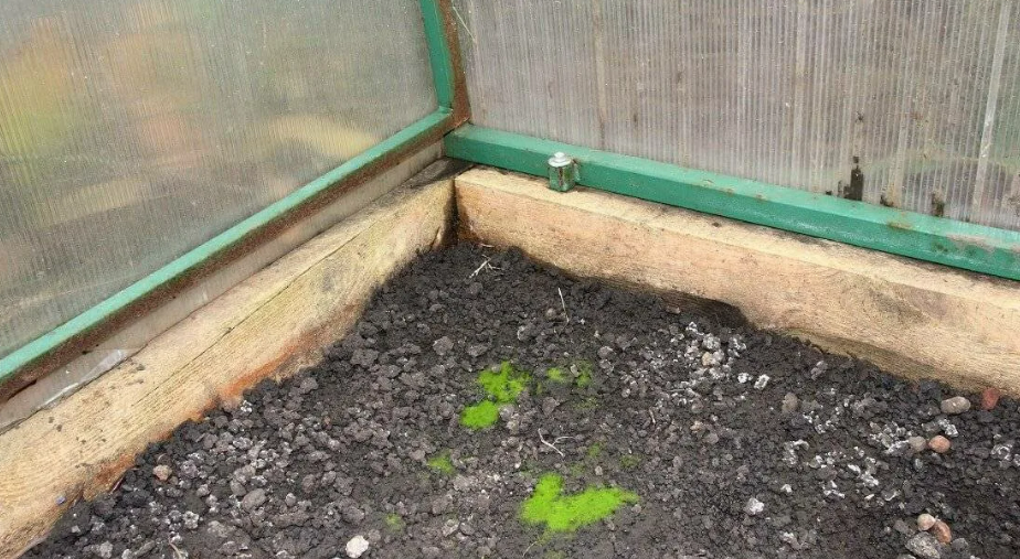 Фотография взята из источника sportkp.ru