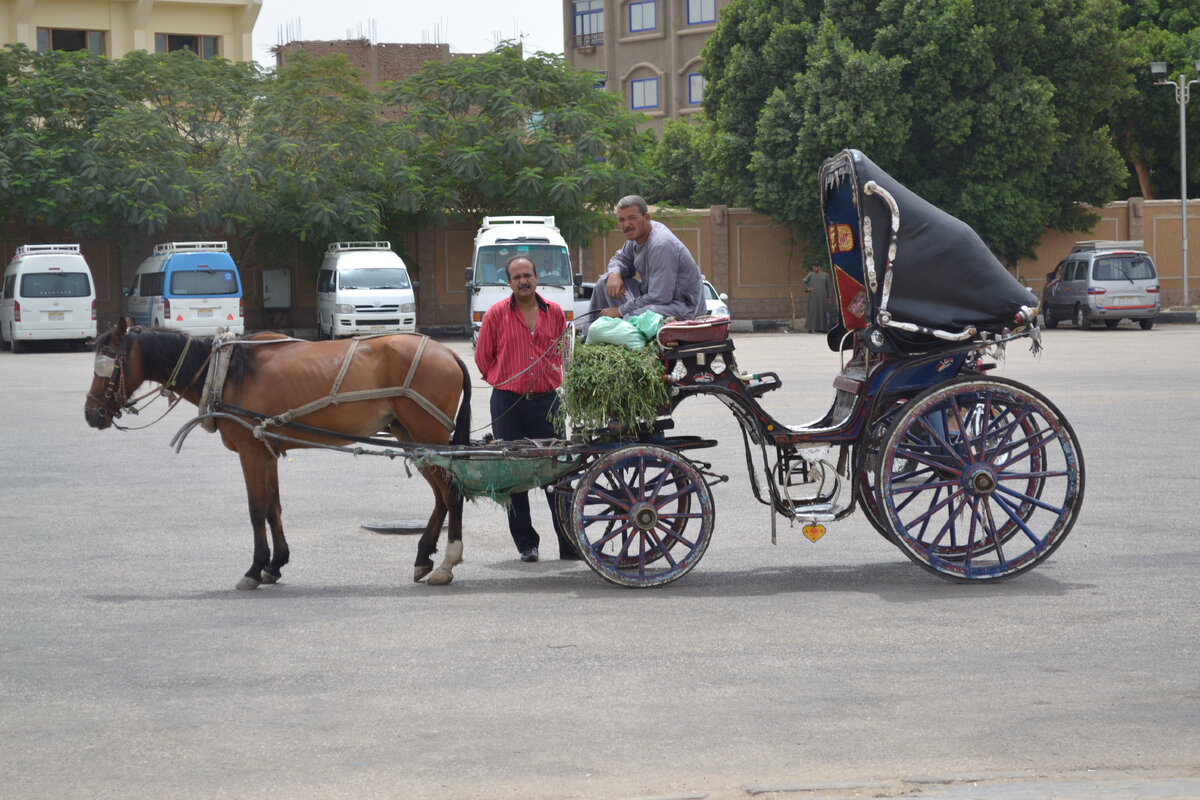 Все фото\видео мои Мой неприятный опыт.