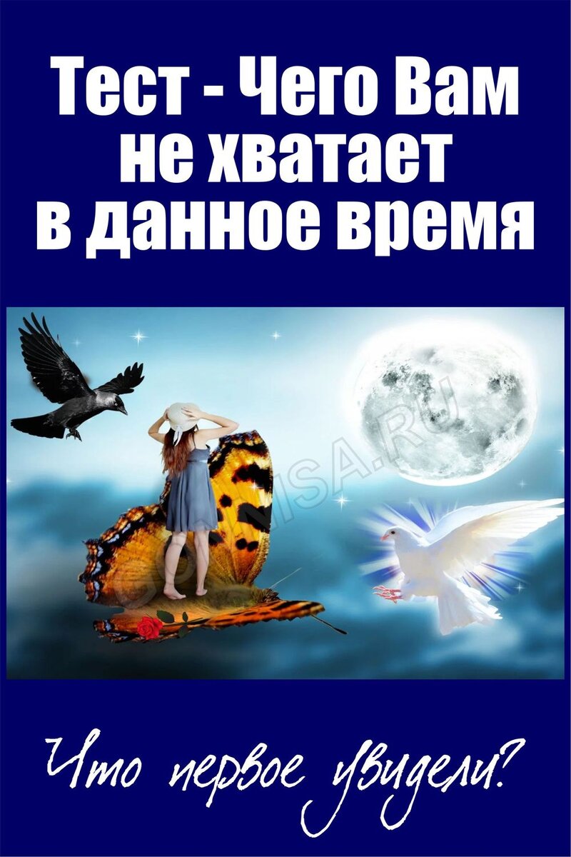    Тест — Чего Вам не хватает в настоящее время Pavlov A
