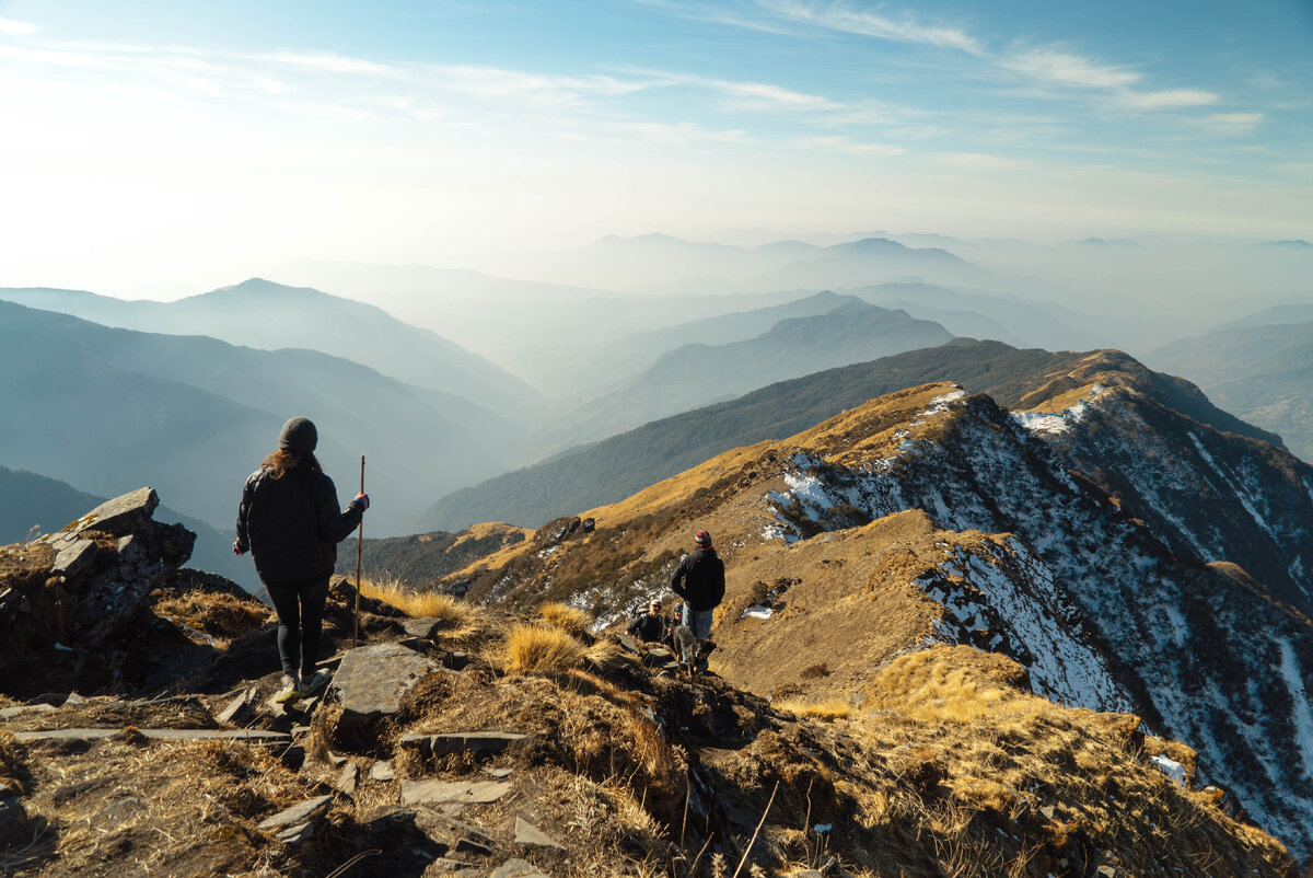 Фото: unsplash.com