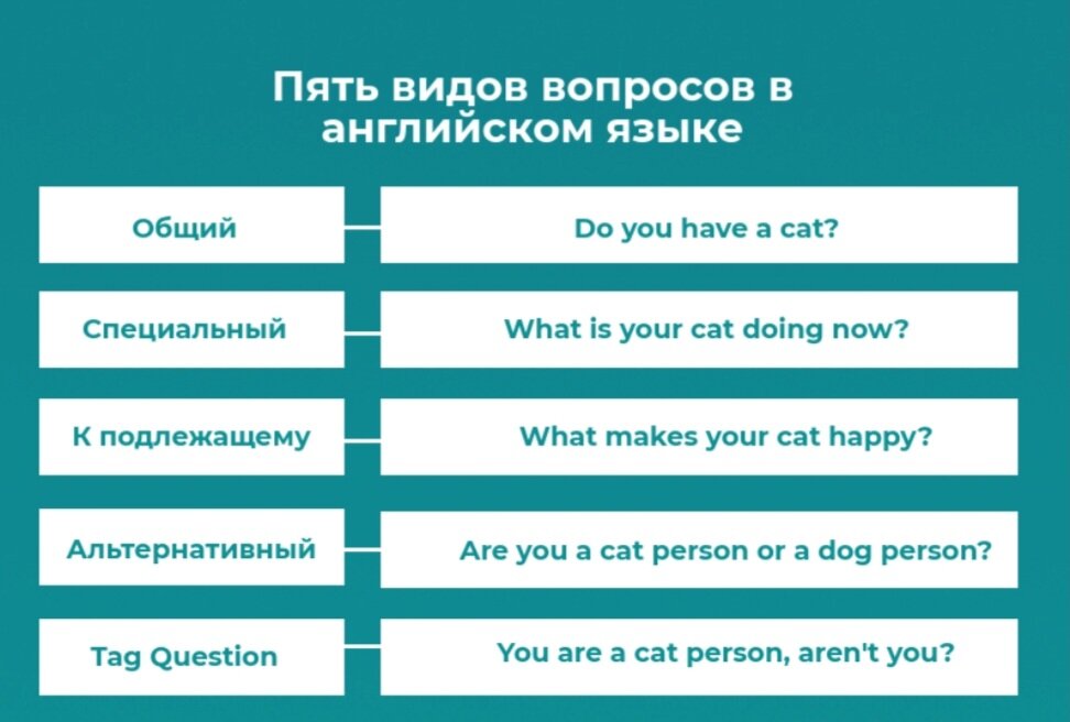 Варианты английского языка примеры Типы вопросов в английском языке LIngua*MIDiS Дзен