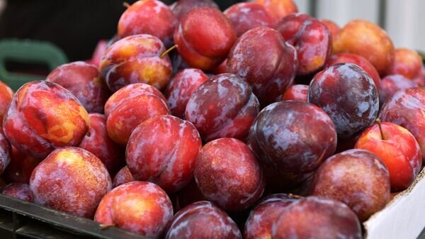   © Sputnik / Томас Тхайцук